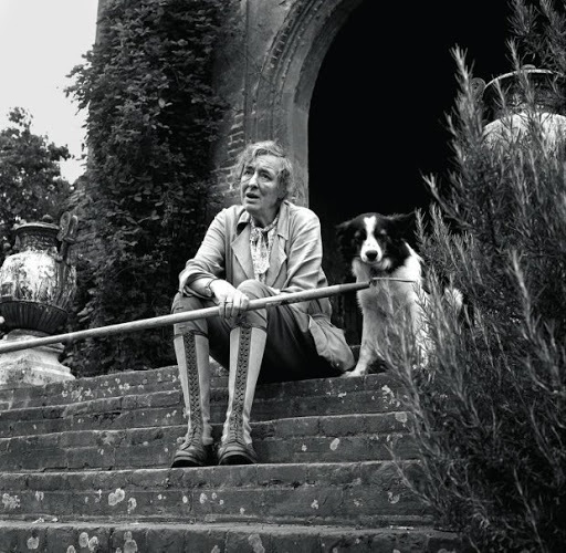 ვიტა სისინგარსტის სასახლეში თავის ძაღლ კოლისთან ერთად, 1958 წელი