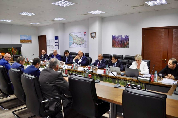 საქართველოს რუსული ენერგოკომპანიის დელეგაცია ეწვია