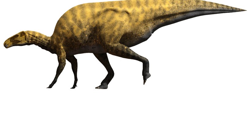 Portellsaurus sosbaynati