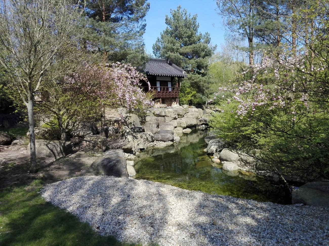 კორეული ბაღი