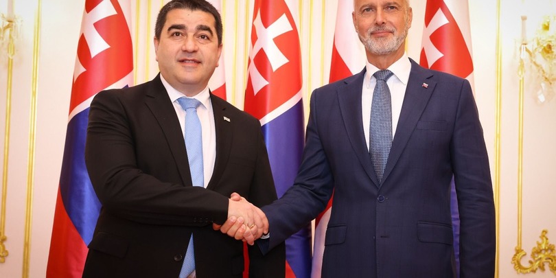 შალვა პაპუაშვილი